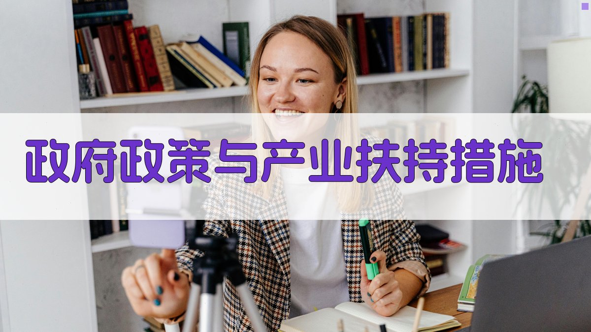 政府政策与产业扶持措施 图3