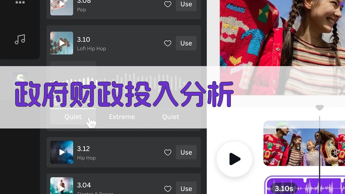 政府财政投入分析 图2