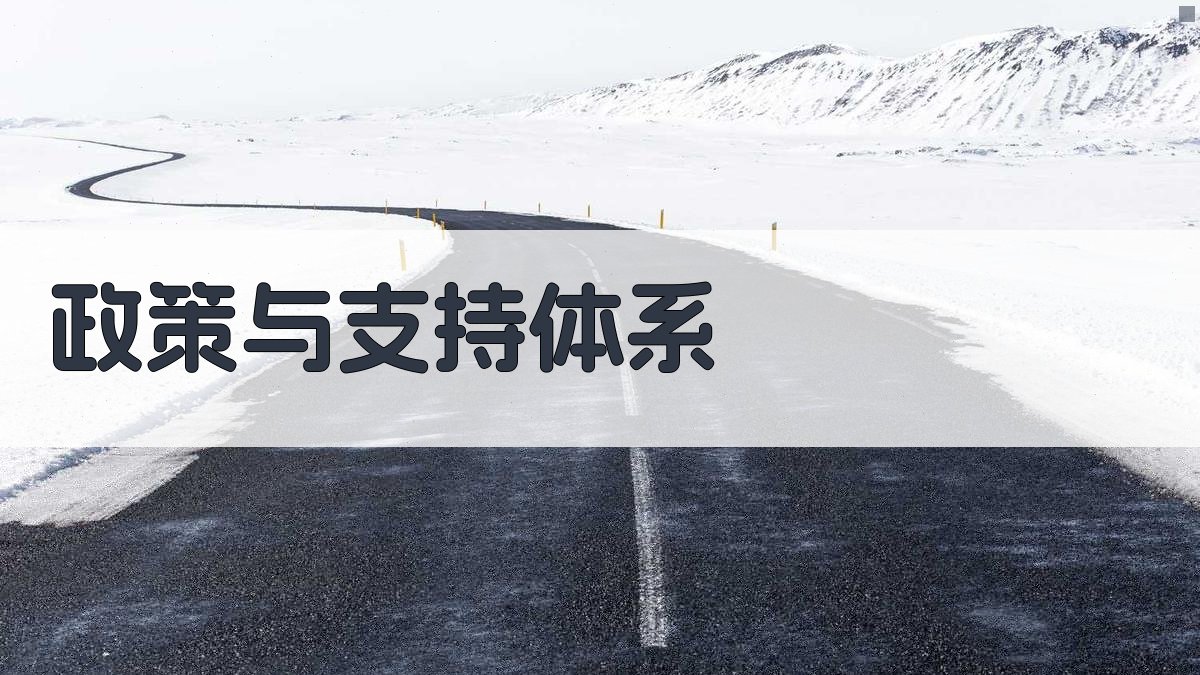 政策与支持体系 图3