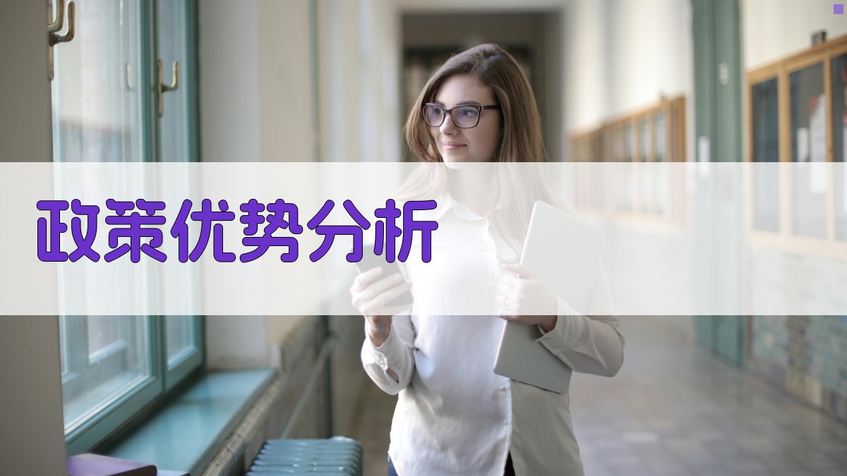 政策优势分析 图4