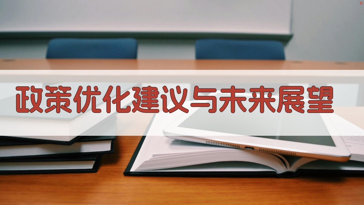 政策优化建议与未来展望 图3