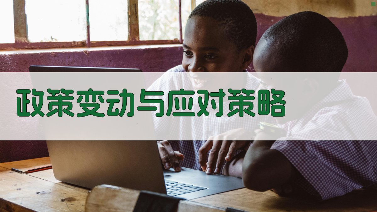 政策变动与应对策略 图4