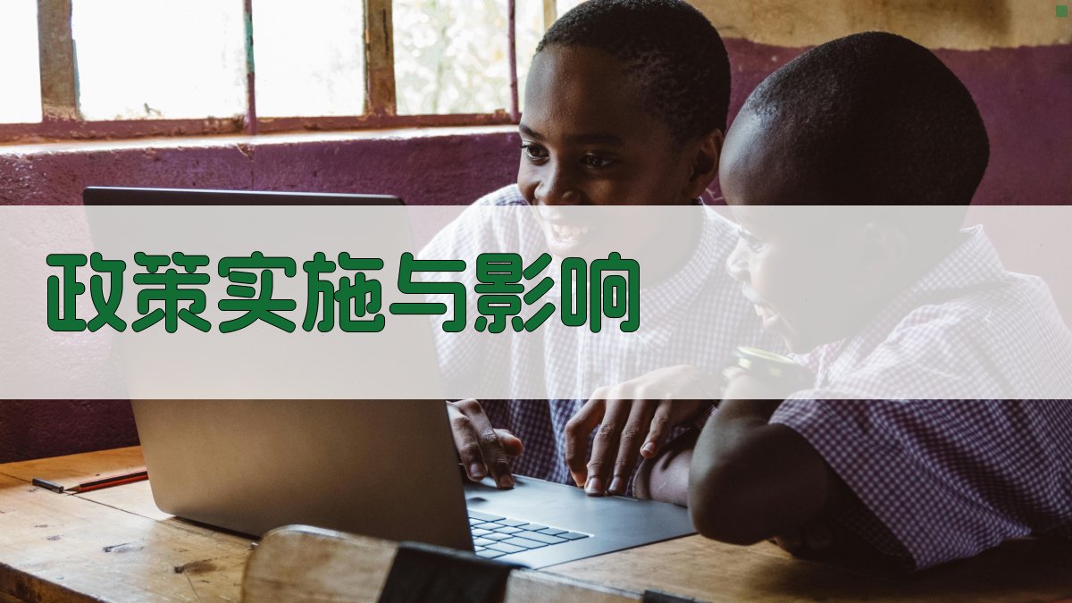 政策实施与影响 图2