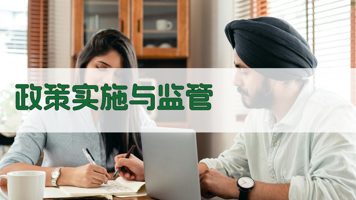 政策实施与监管 图2