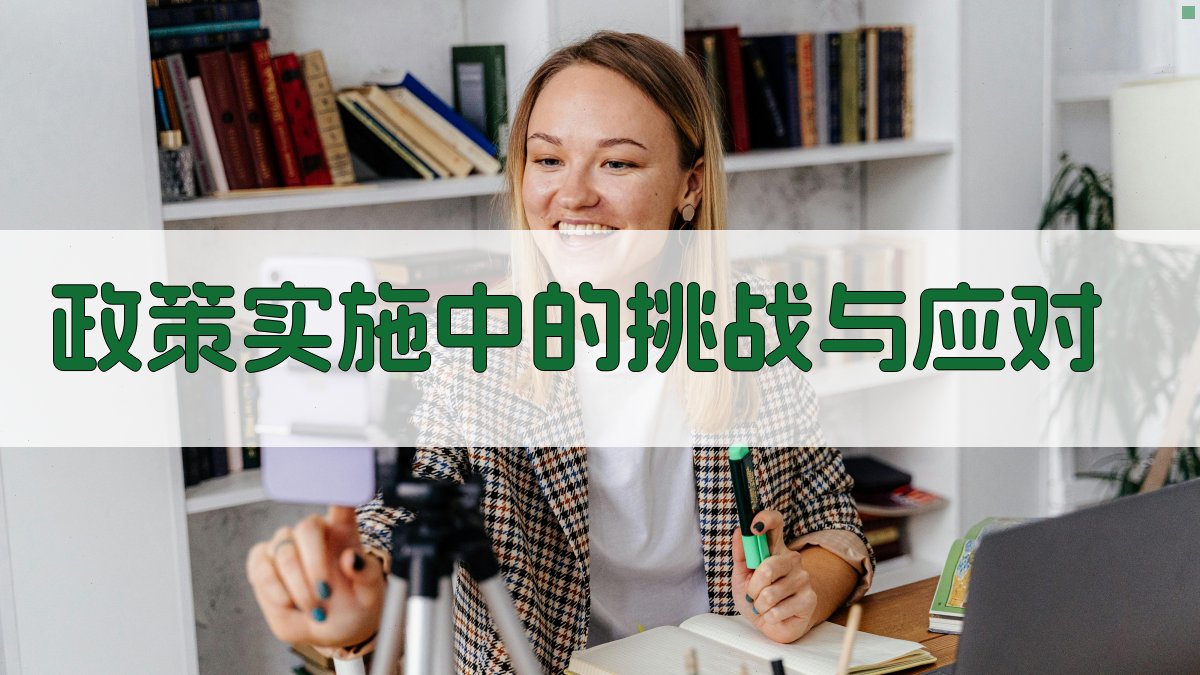 政策实施中的挑战与应对 图5