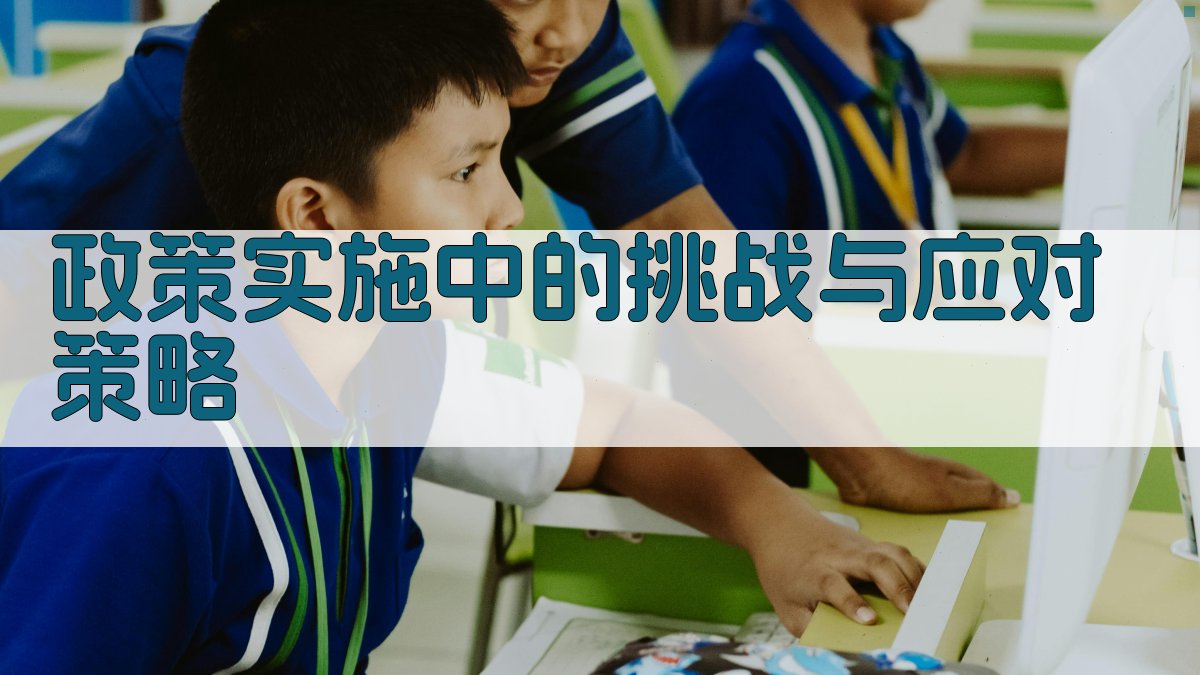 政策实施中的挑战与应对策略 图4
