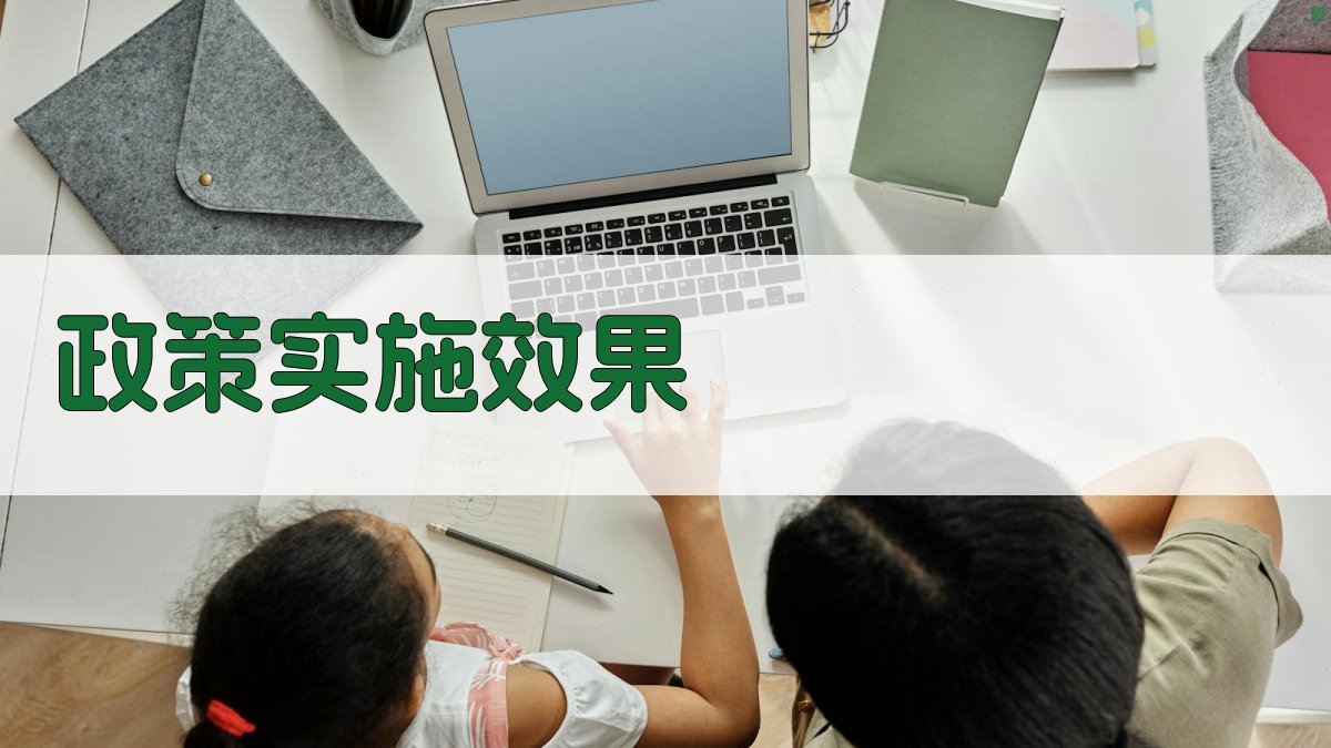 政策实施效果 图2