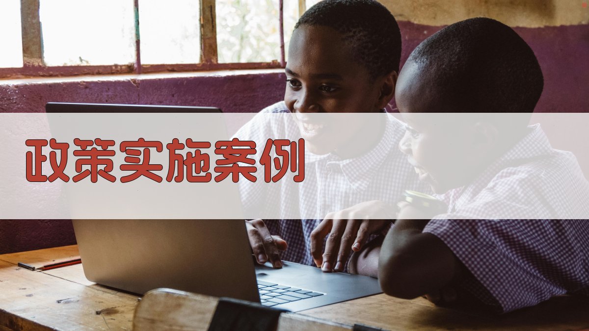 政策实施案例 图4