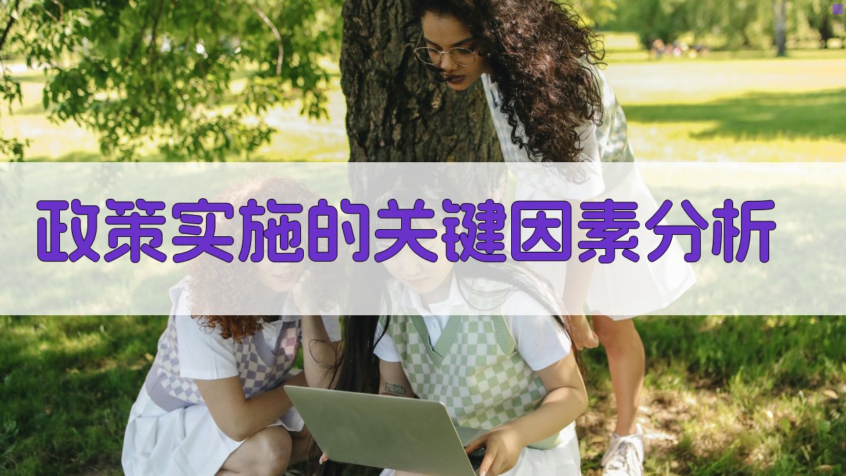 政策实施的关键因素分析 图2