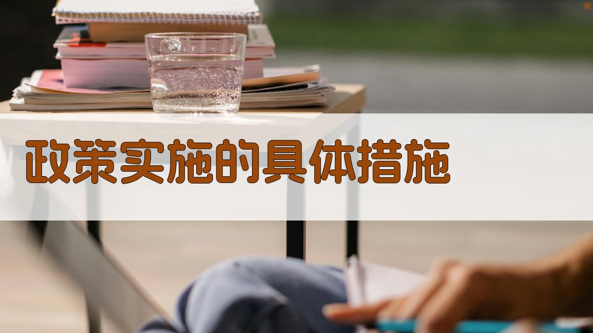 政策实施的具体措施 图2