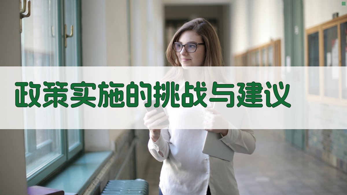 政策实施的挑战与建议 图4