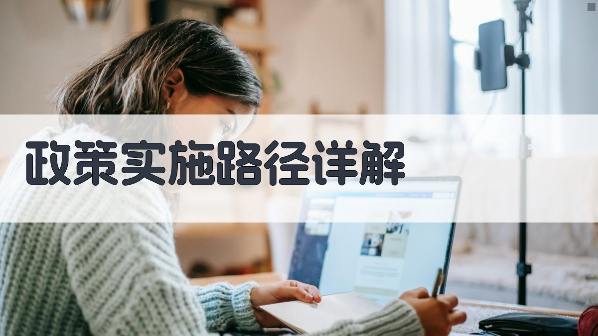 政策实施路径详解 图2