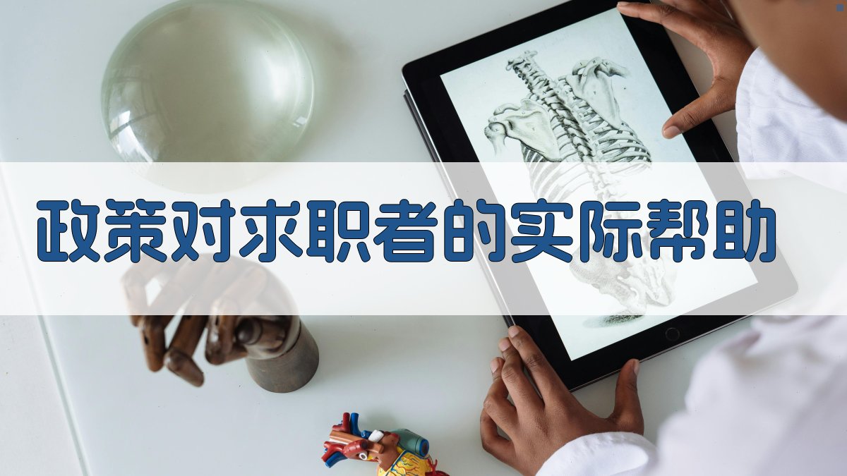 就业培训政策解析求职者就业路径规划