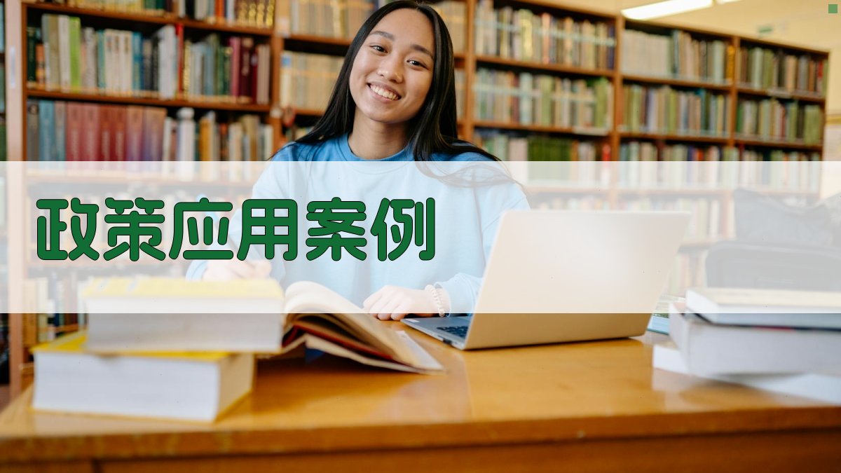 政策应用案例 图4