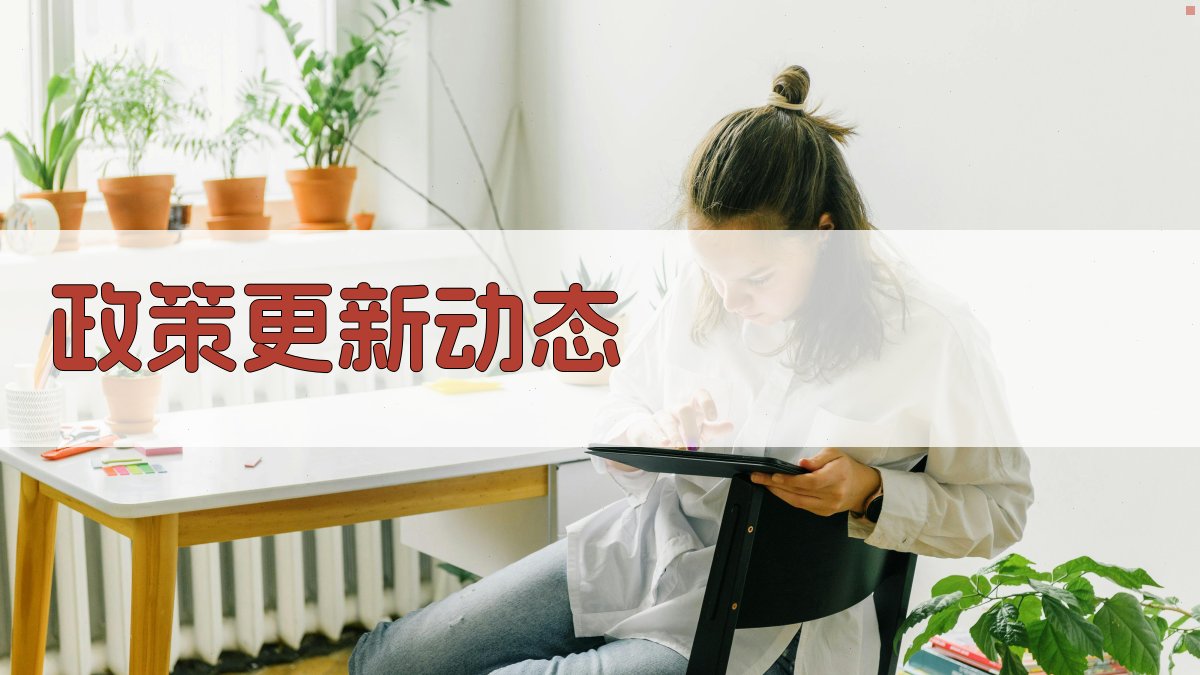 政策更新动态 图5