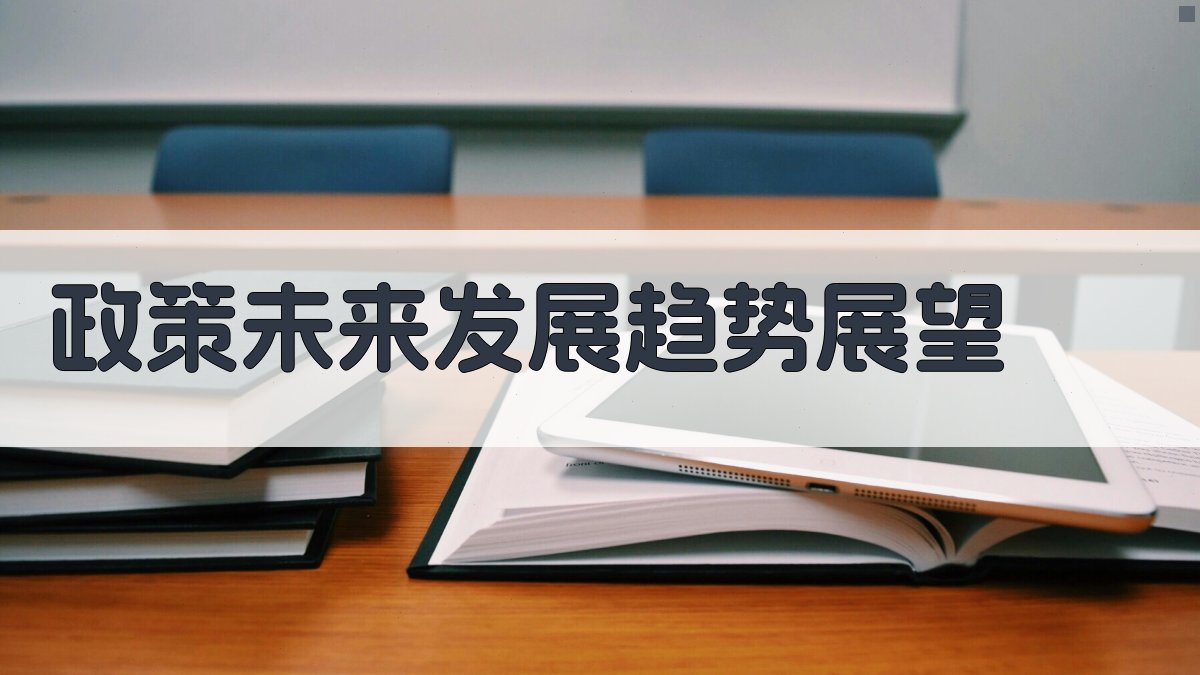 政策未来发展趋势展望 图2