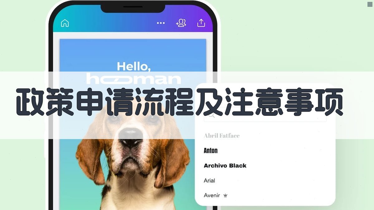 政策申请流程及注意事项 图3