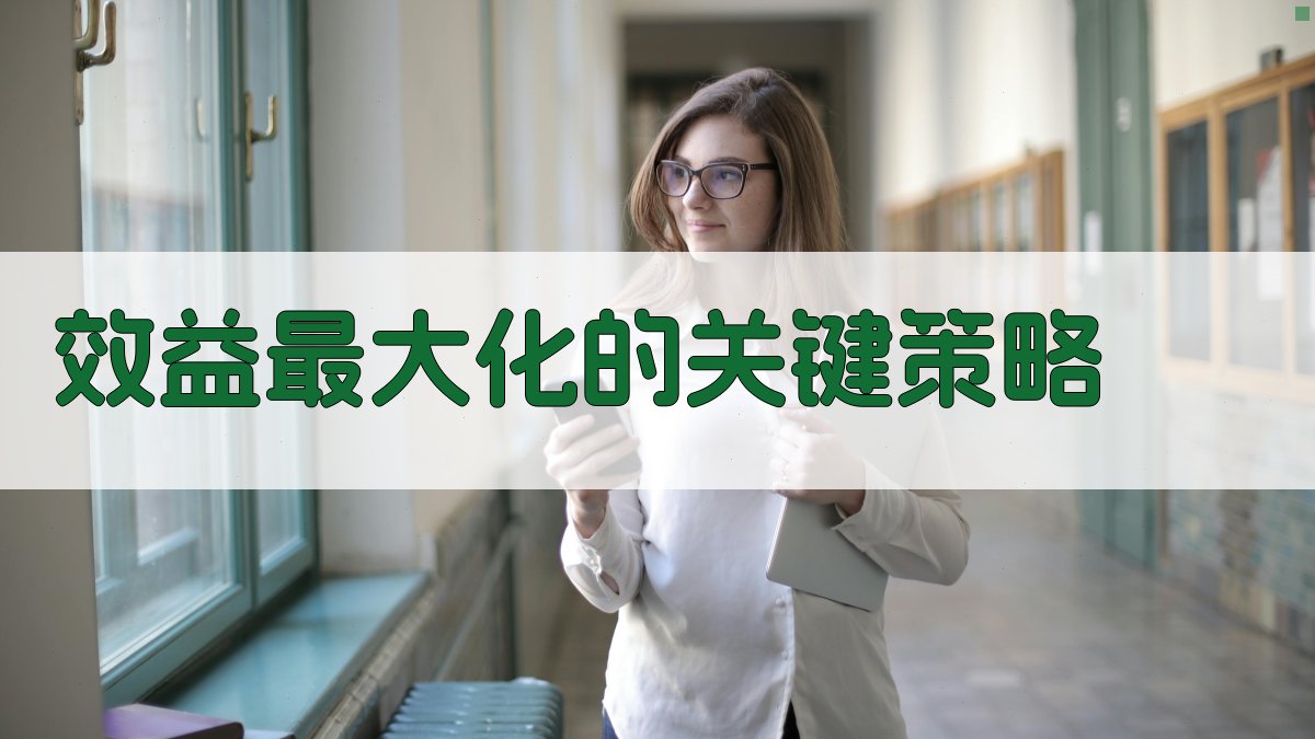 效益最大化的关键策略 图2