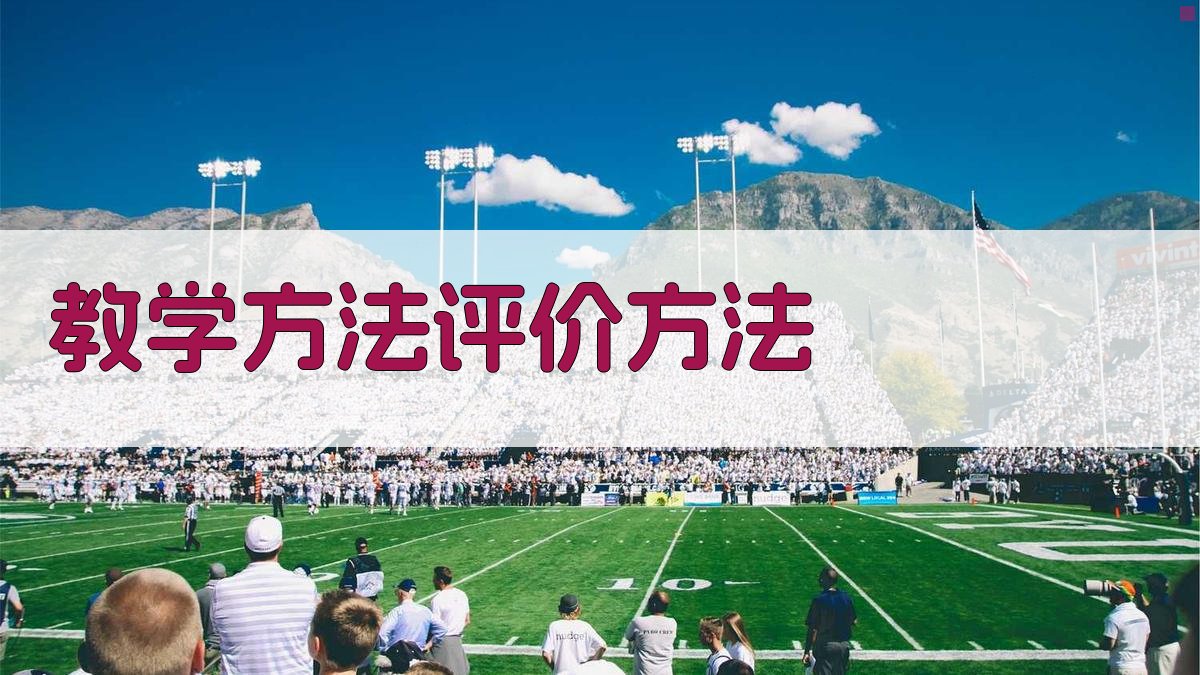 教学方法评价方法 图4