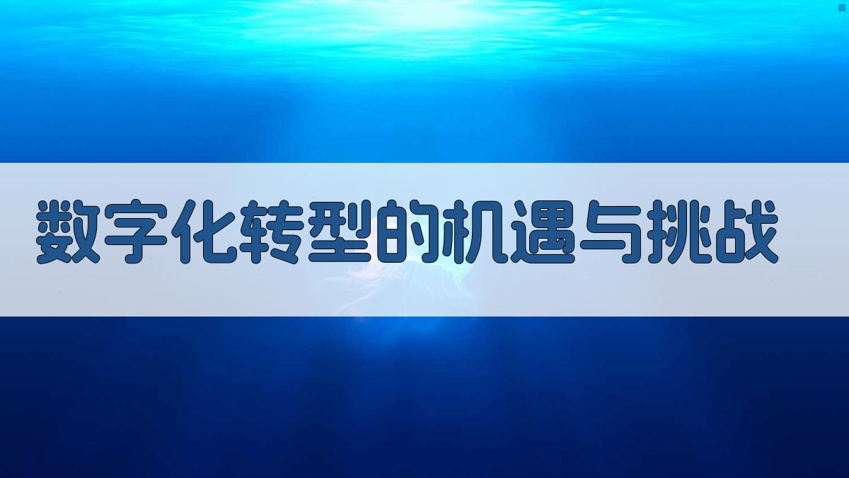 数字化转型的机遇与挑战 图1