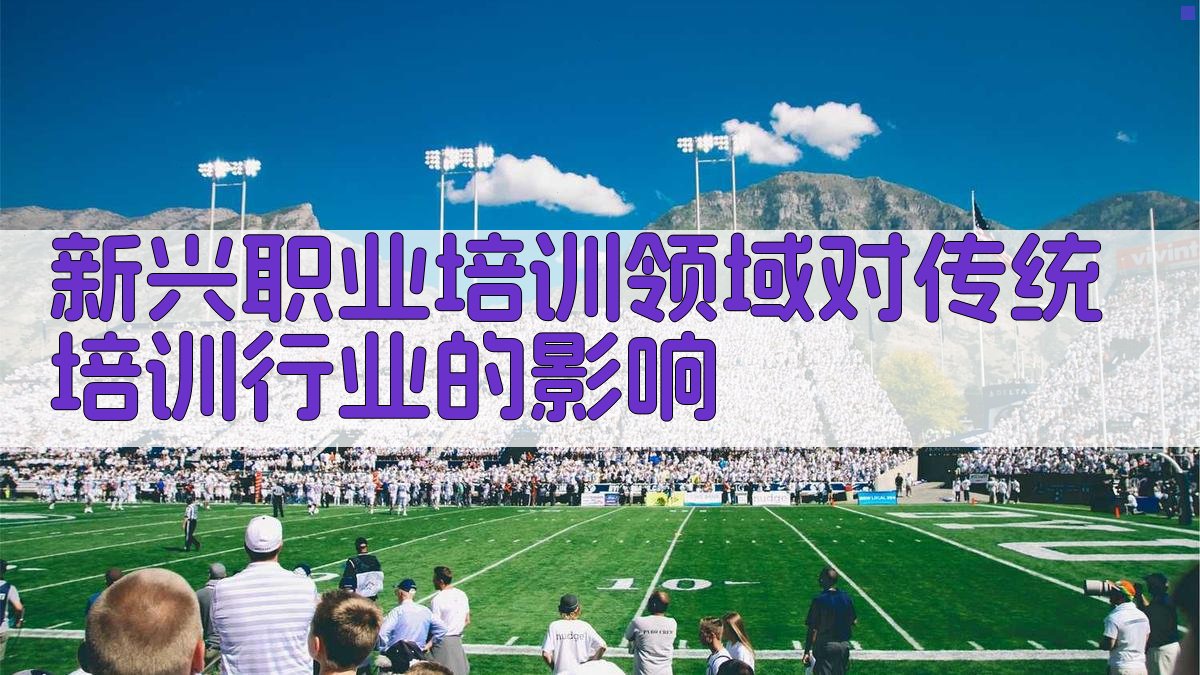 新兴职业培训领域对传统培训行业的影响 图3