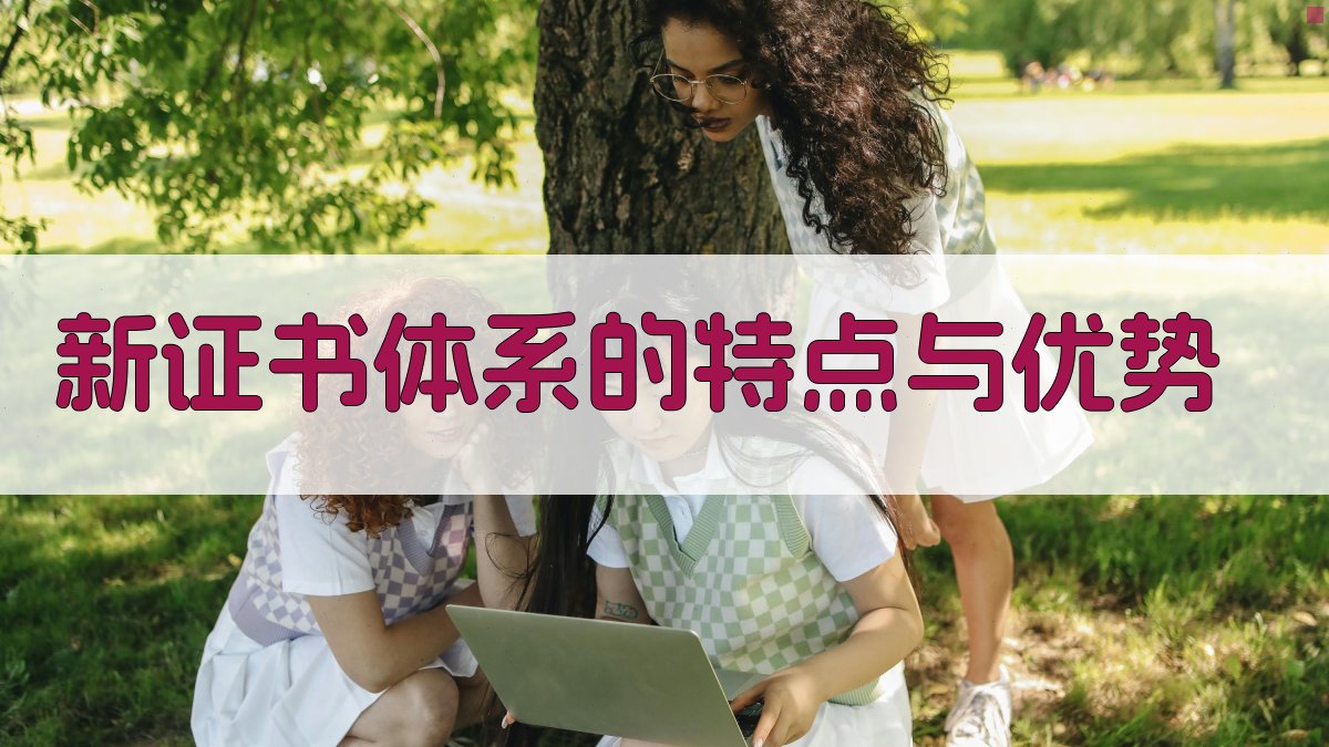 新证书体系的特点与优势 图2
