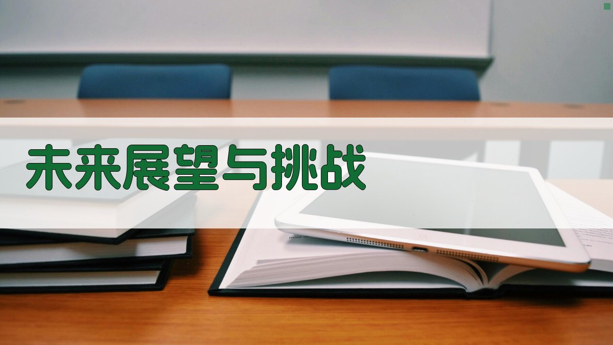 未来展望与挑战 图3