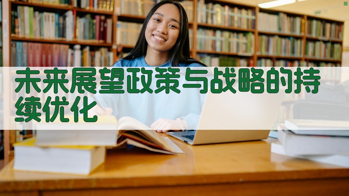 未来展望政策与战略的持续优化 图4