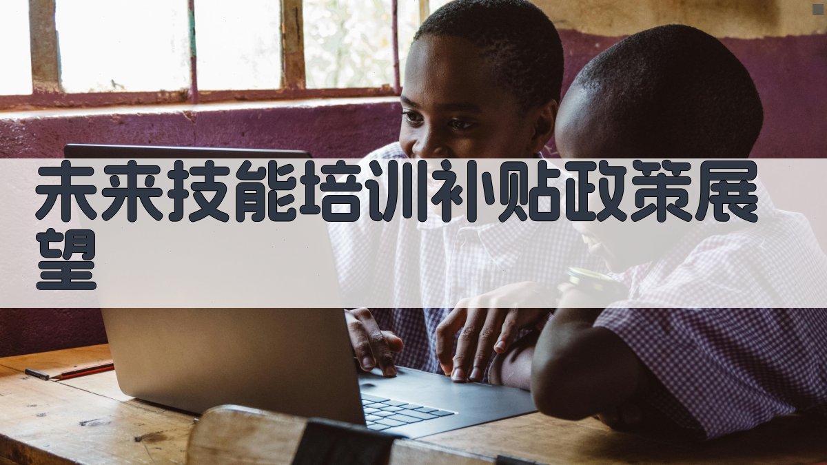 技能培训补贴政策解读与影响分析