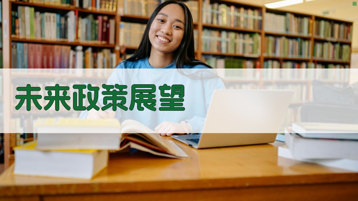 未来政策展望 图3