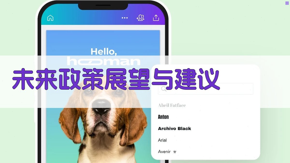 未来政策展望与建议 图5