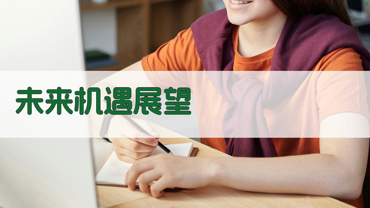 未来机遇展望 图3