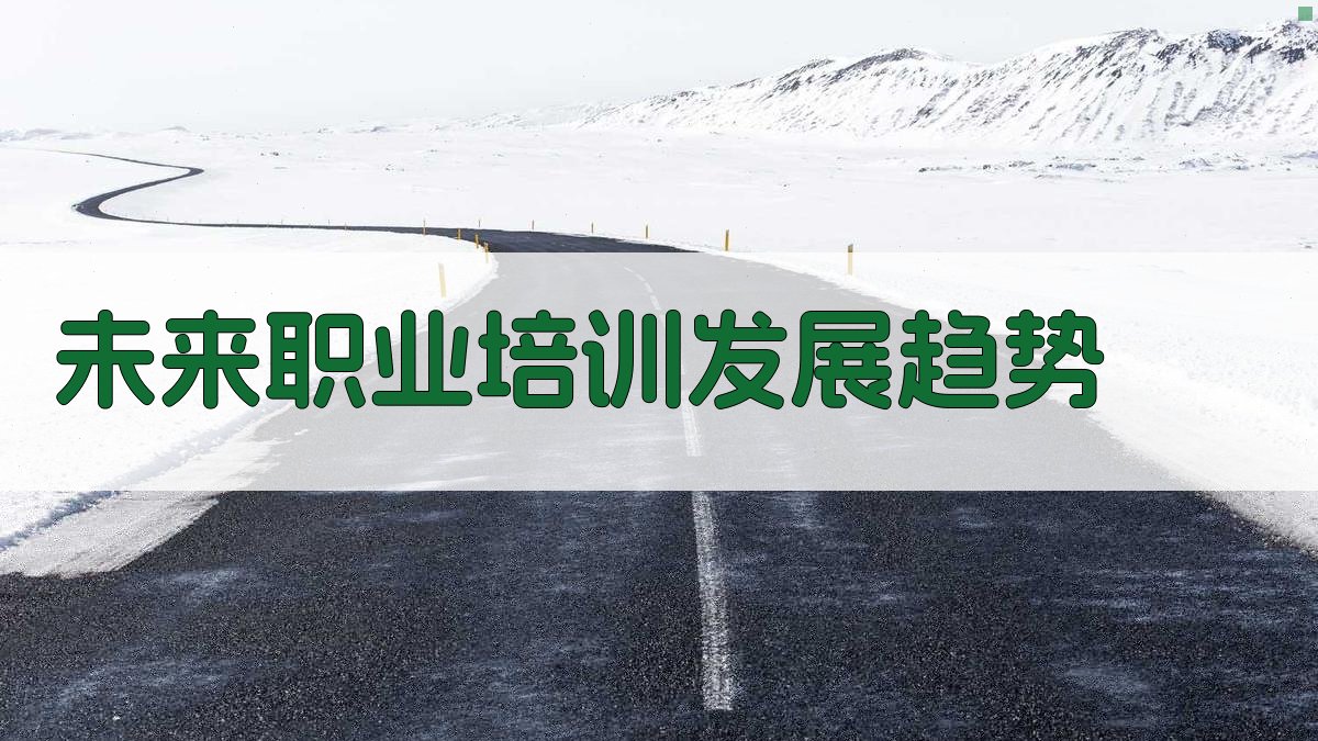 未来职业培训发展趋势 图3