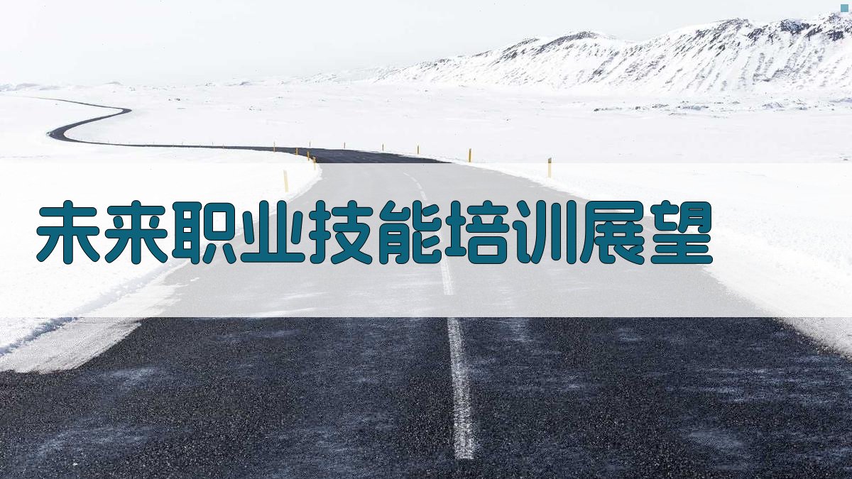 未来职业技能培训展望 图3