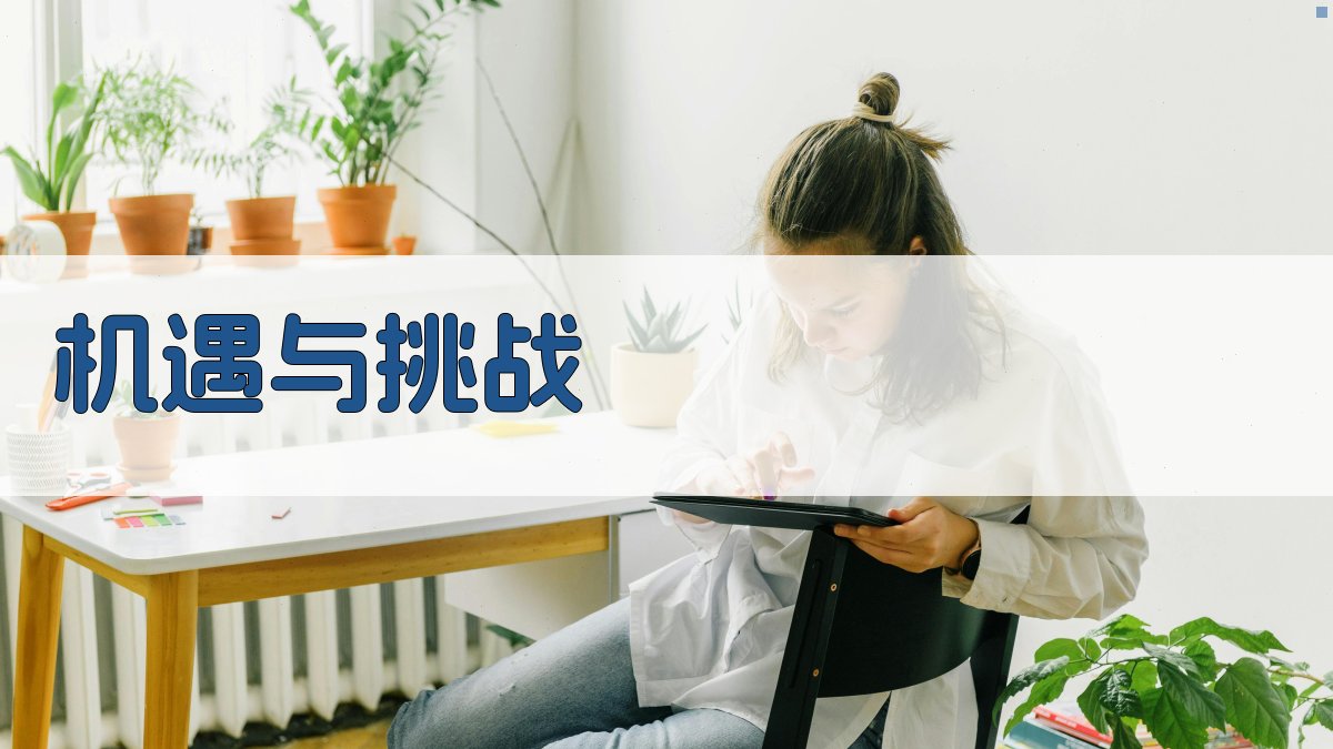 机遇与挑战 图2