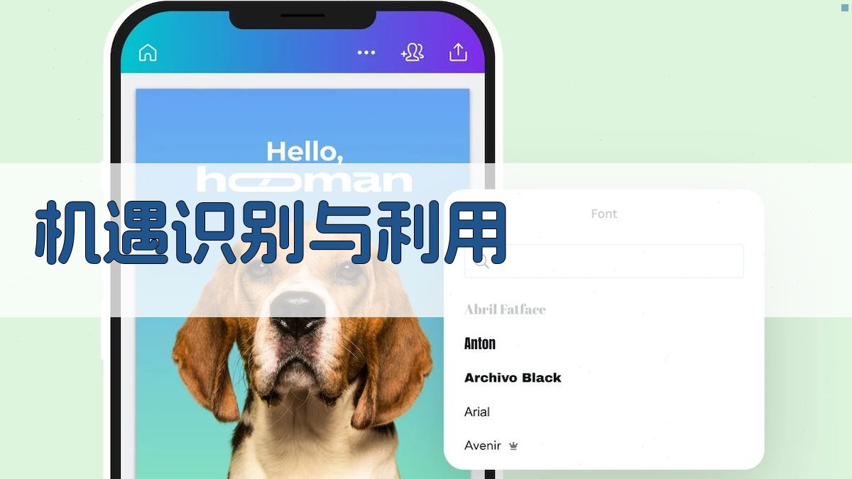 机遇识别与利用 图3