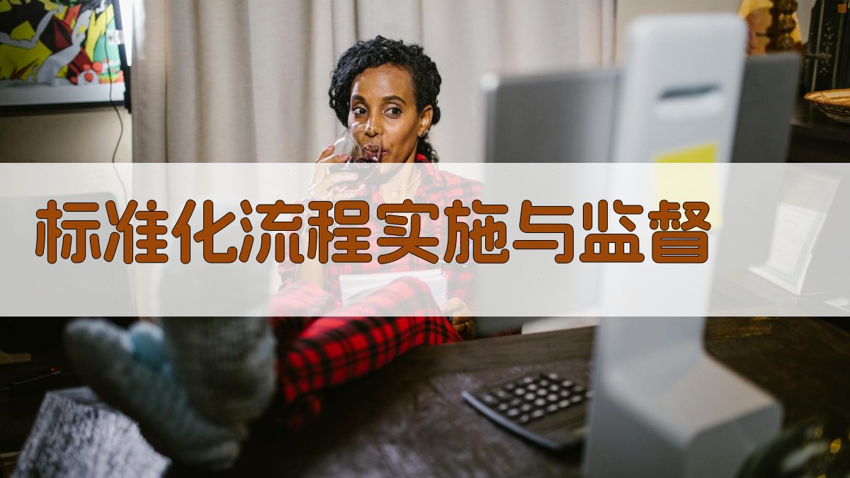 标准化流程实施与监督 图4
