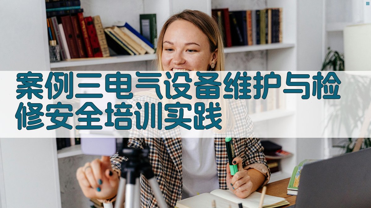 案例三电气设备维护与检修安全培训实践 图3