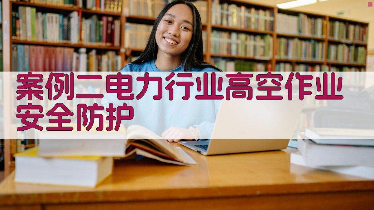 案例二电力行业高空作业安全防护 图2