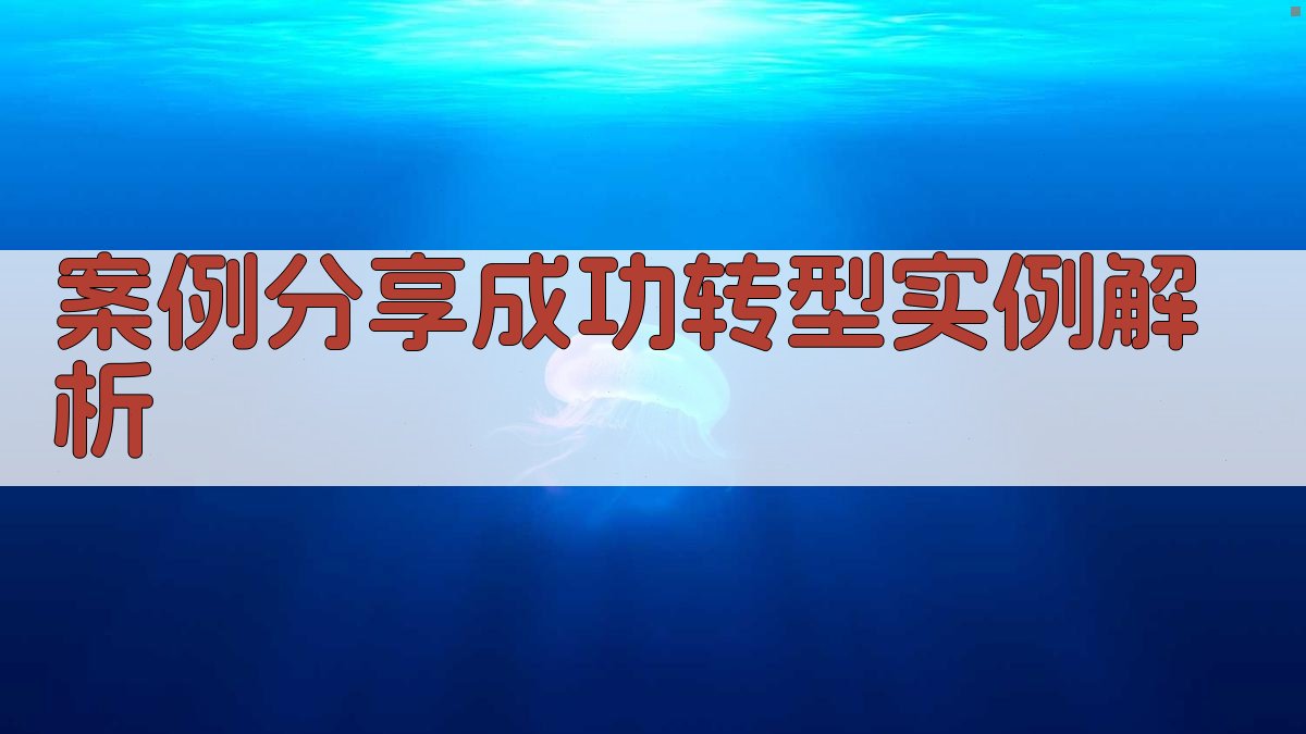案例分享成功转型实例解析 图2