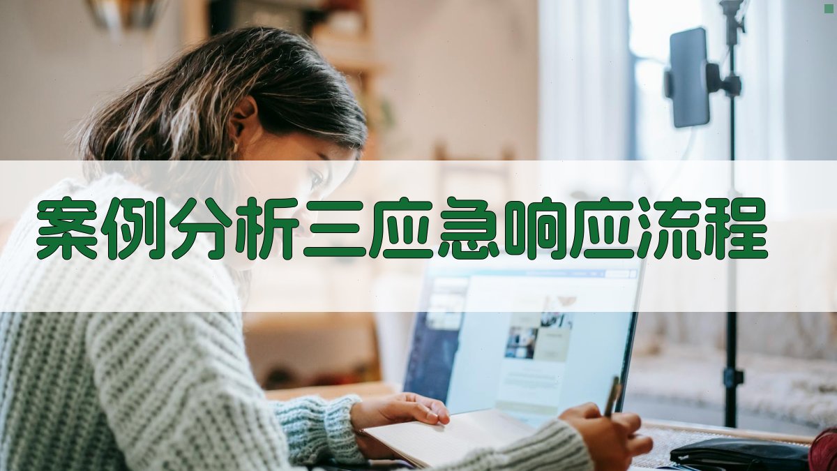 案例分析三应急响应流程 图3