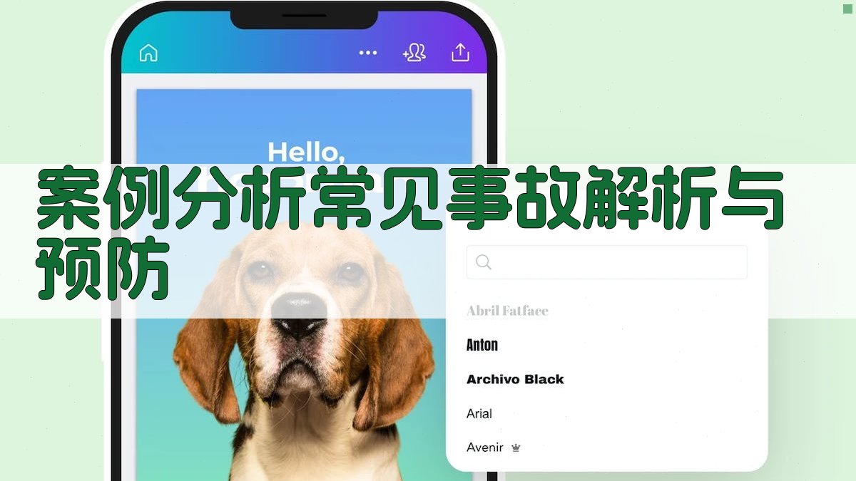 案例分析常见事故解析与预防 图4