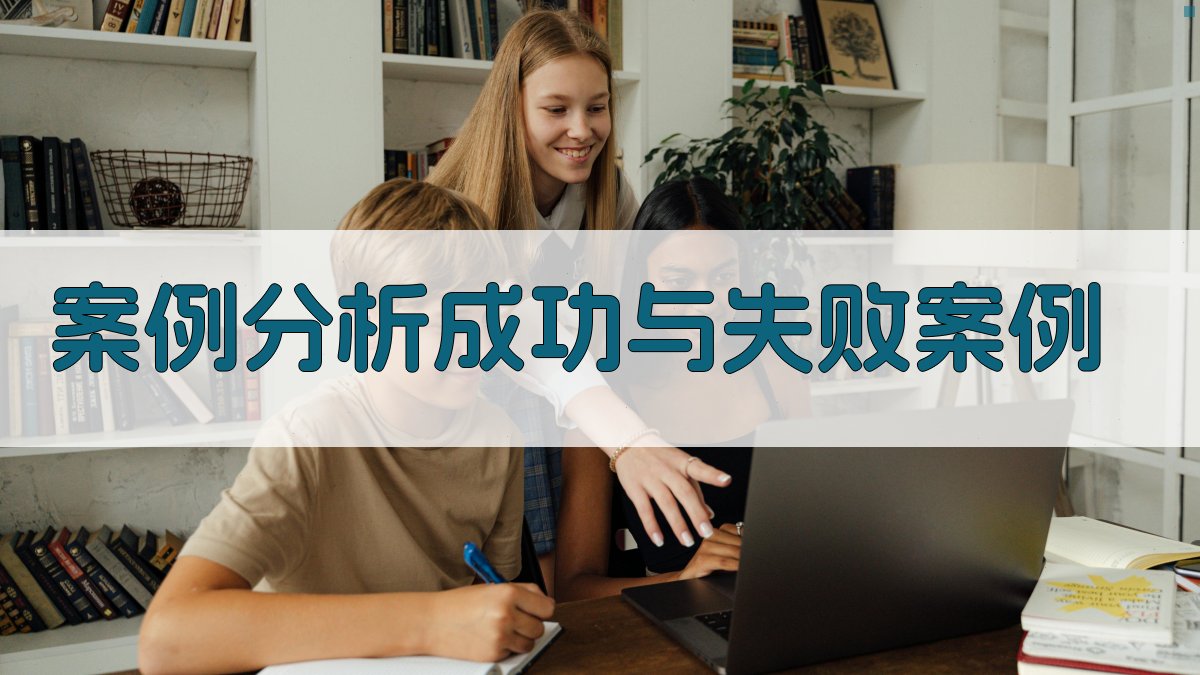案例分析成功与失败案例 图2