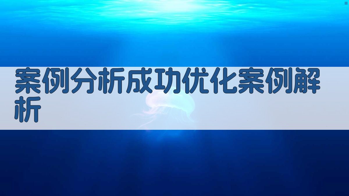 案例分析成功优化案例解析 图2