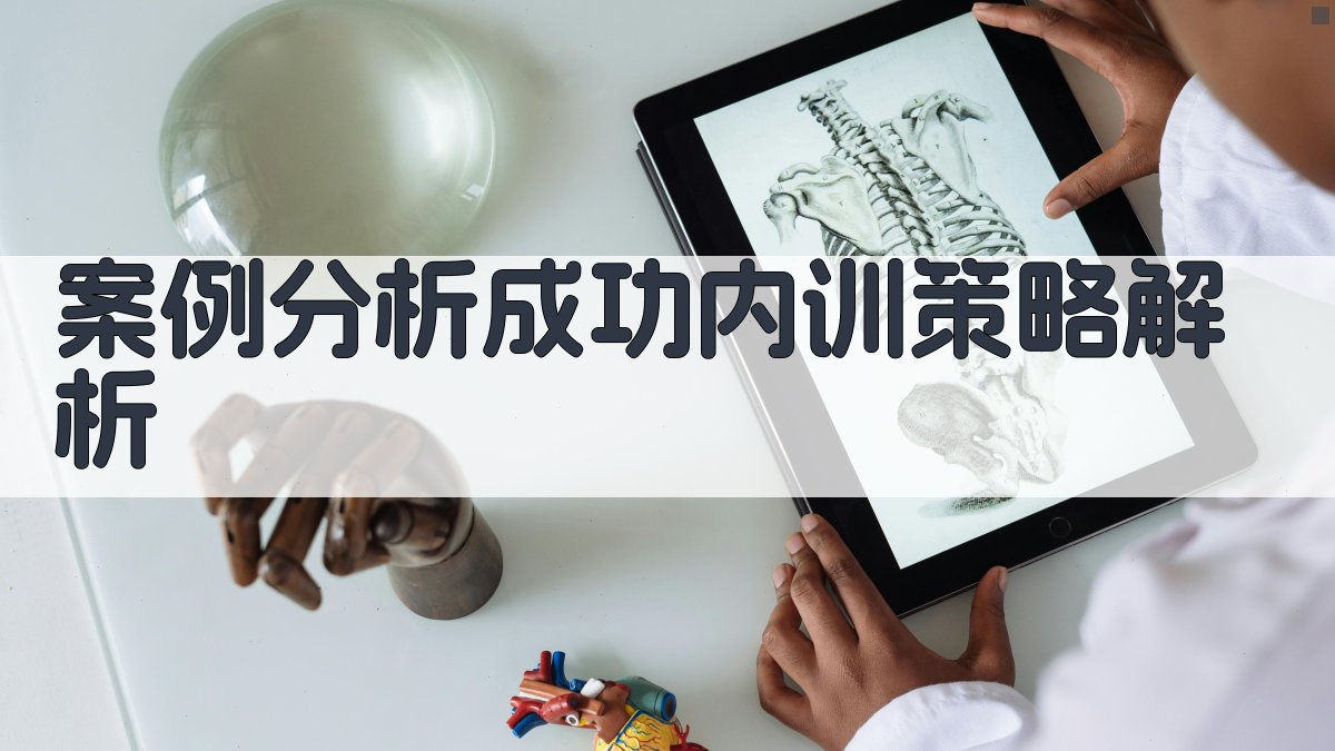 案例分析成功内训策略解析 图4