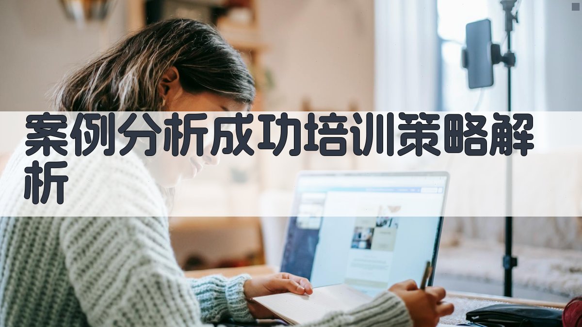 案例分析成功培训策略解析 图3