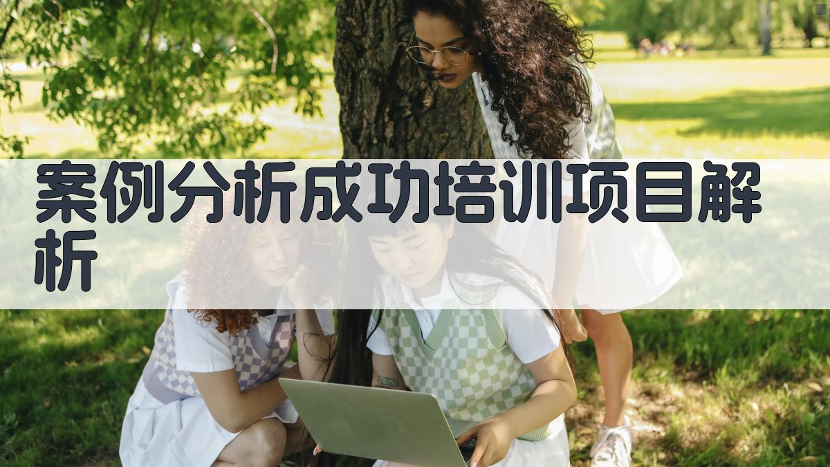 案例分析成功培训项目解析 图3