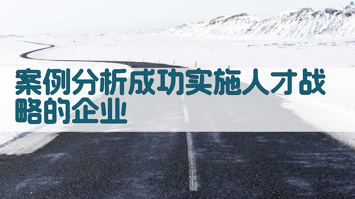 案例分析成功实施人才战略的企业 图3