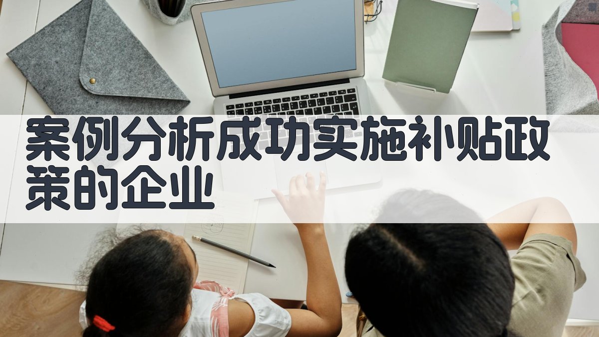案例分析成功实施补贴政策的企业 图4
