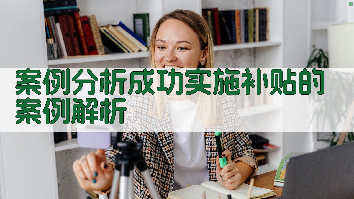 案例分析成功实施补贴的案例解析 图3